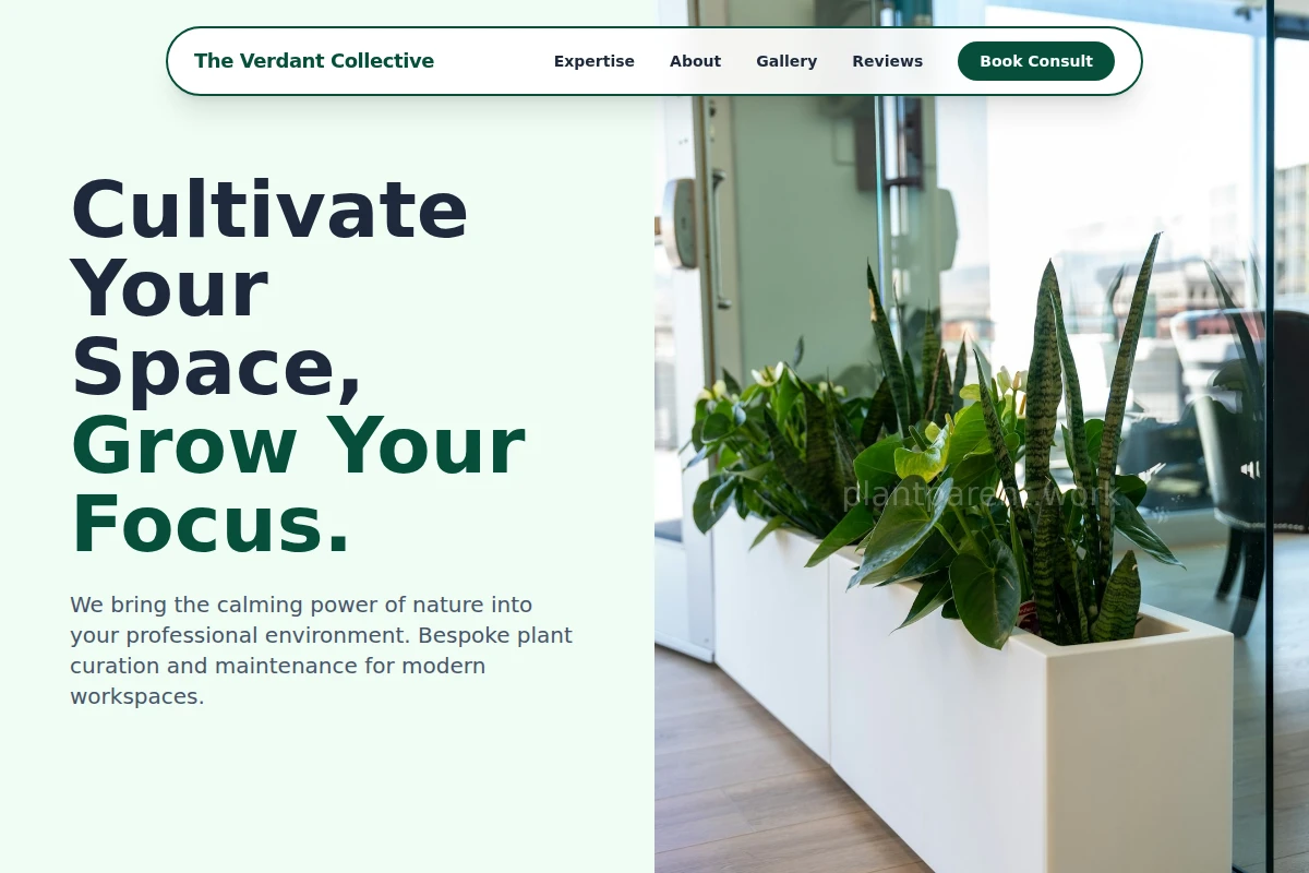Nurture Office Plants
