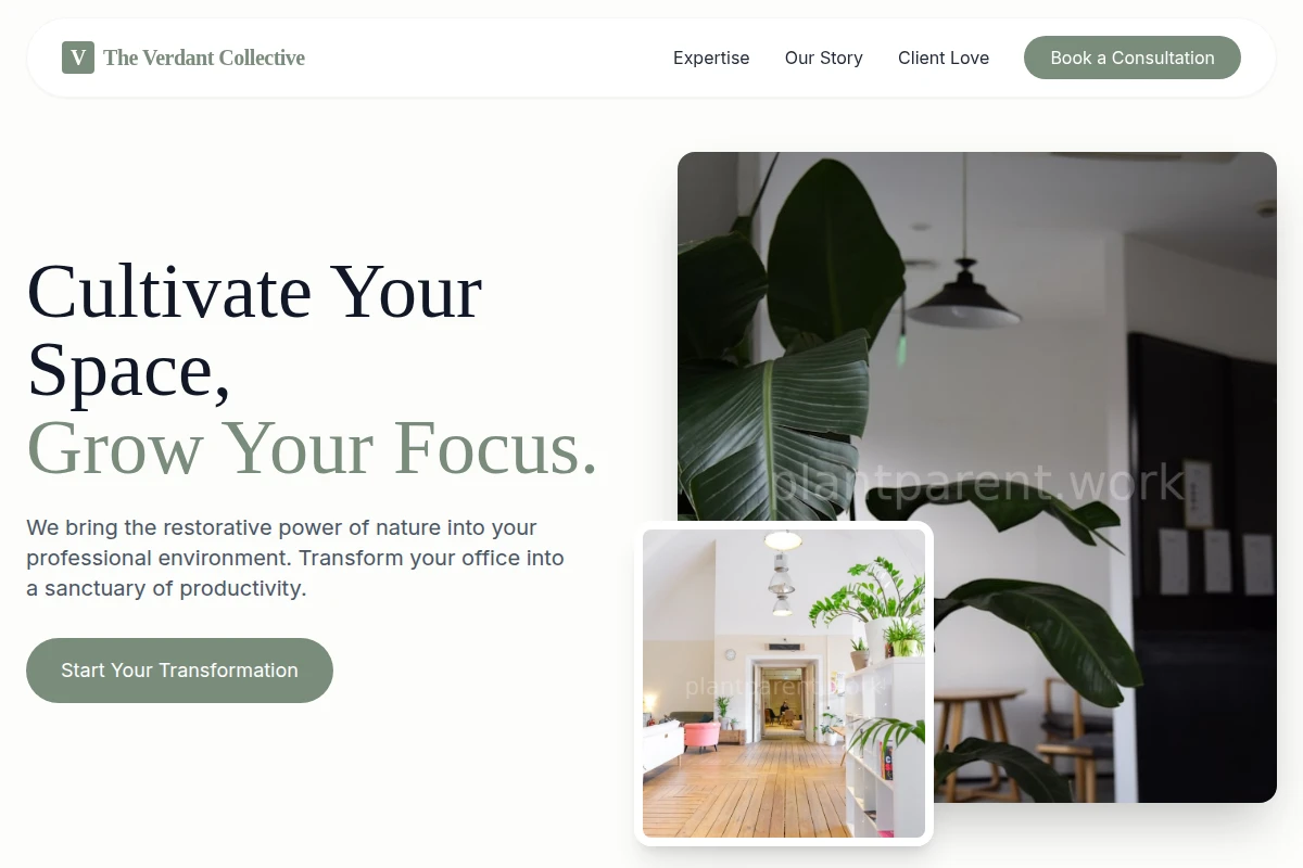 Serene Office Plants
