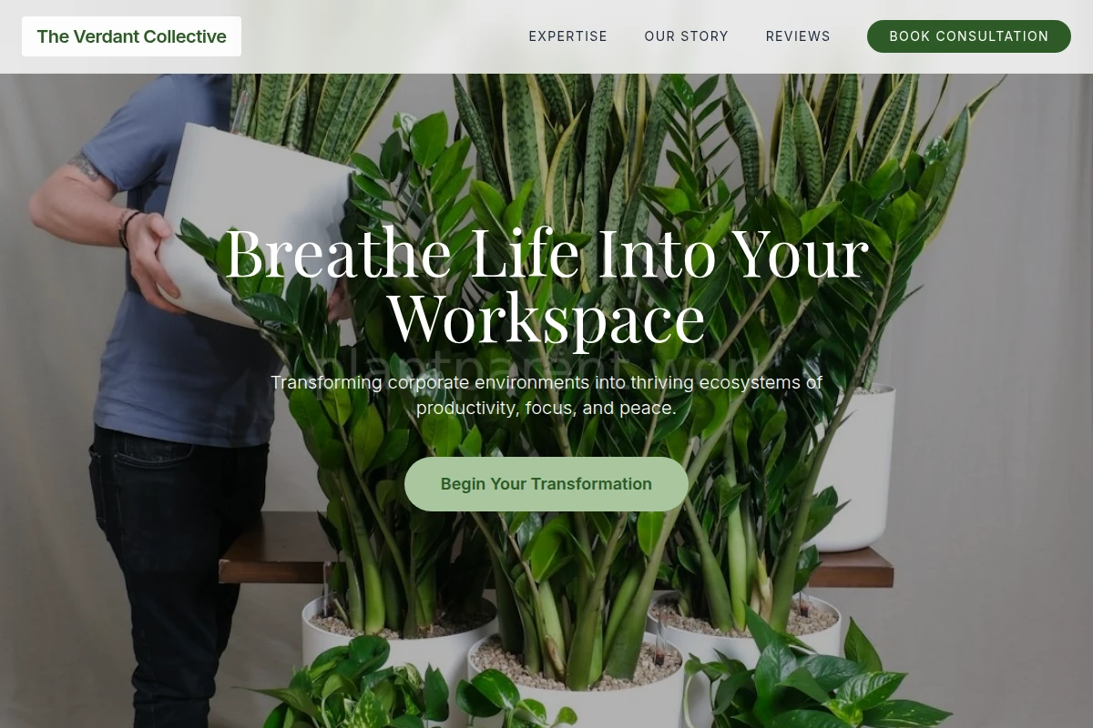 Mist Office Plants