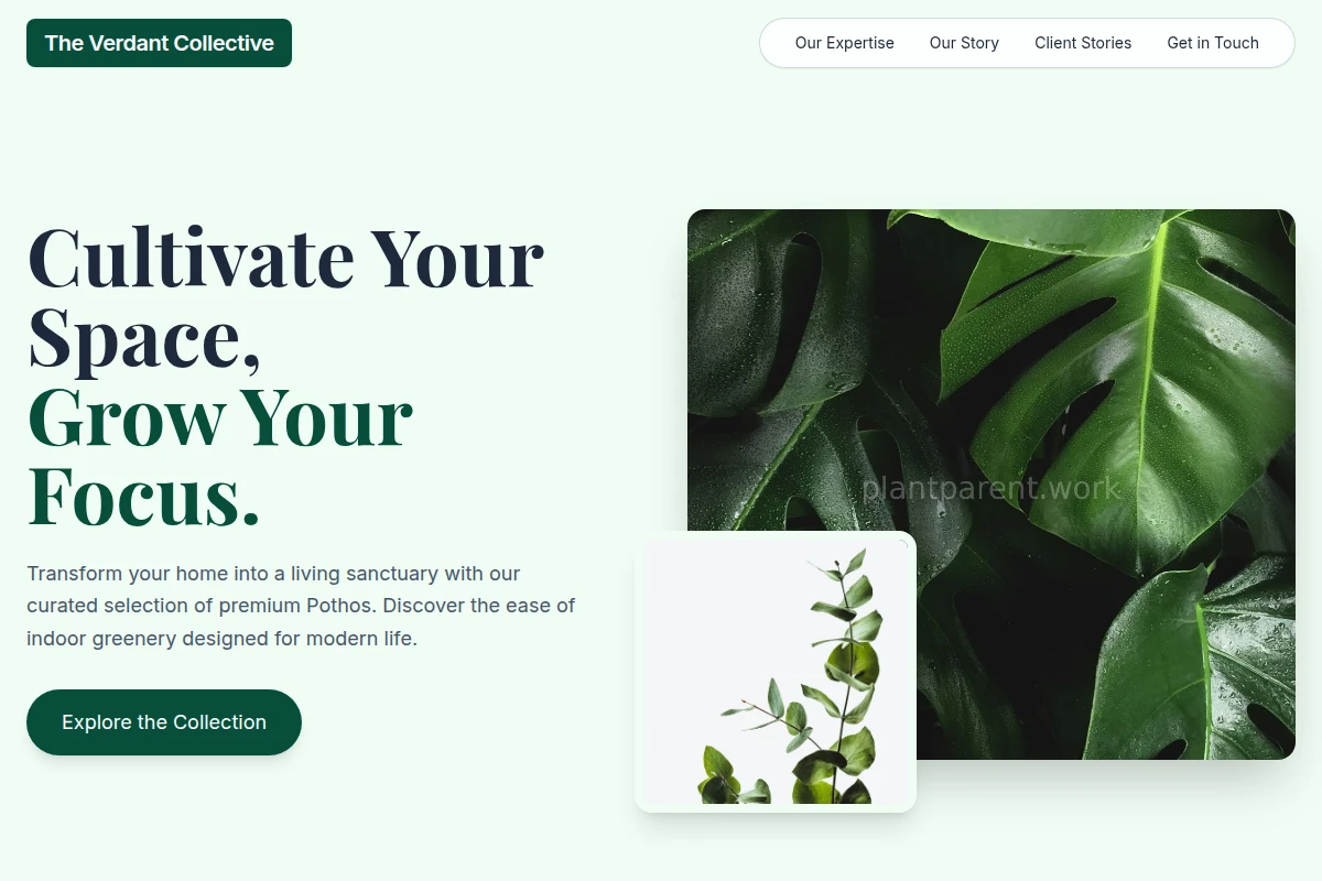Pothos Plants