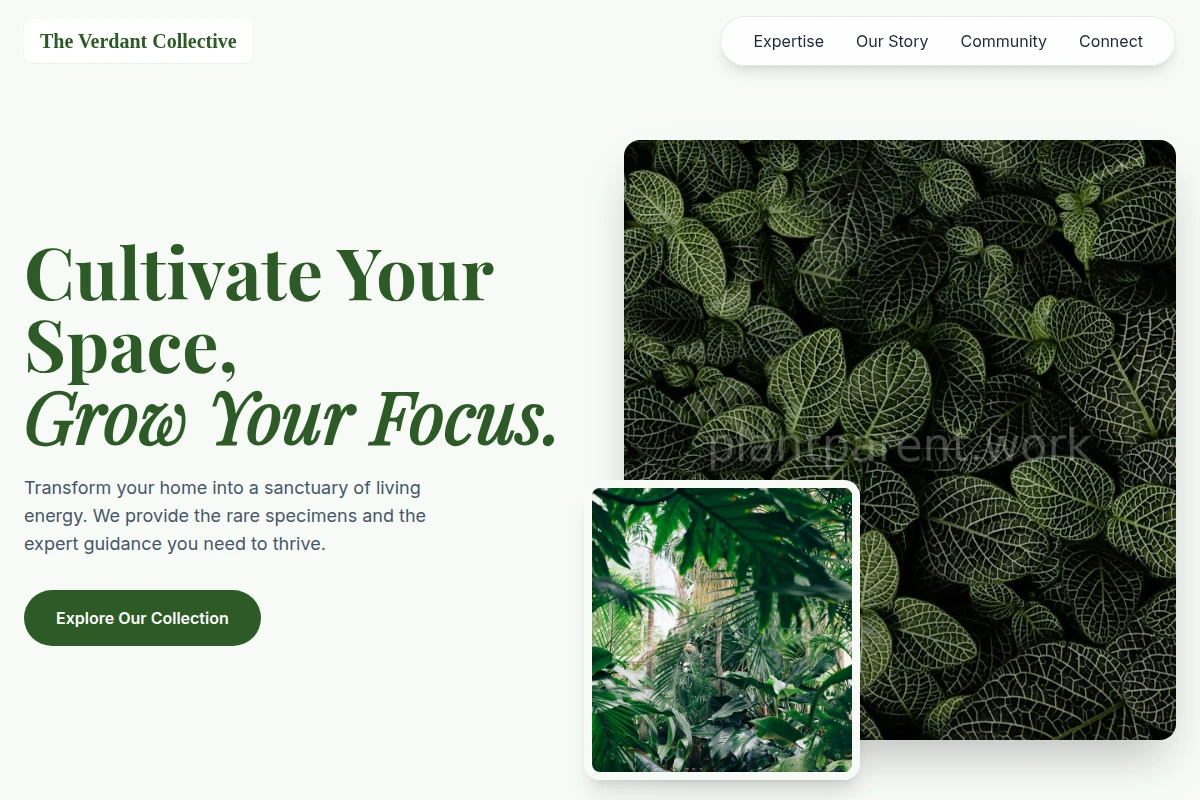 Trellis Plants